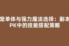 魔宠单体与强力魔法选择：副本与PK中的技能搭配策略
