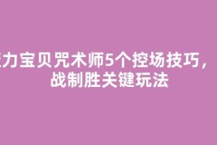 魔力宝贝咒术师5个控场技巧，团战制胜关键玩法