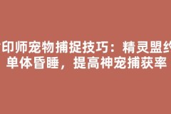 封印师宠物捕捉技巧：精灵盟约+单体昏睡，提高神宠捕获率