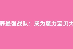 培养最强战队：成为魔力宝贝大师