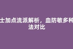 骑士加点流派解析，血防敏多种玩法对比