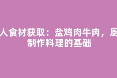 猎人食材获取：盐鸡肉牛肉，厨师制作料理的基础