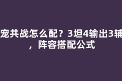十宠共战怎么配？3坦4输出3辅助，阵容搭配公式