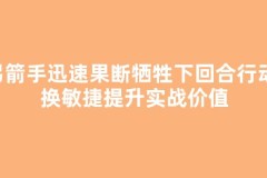 弓箭手迅速果断牺牲下回合行动，换敏捷提升实战价值