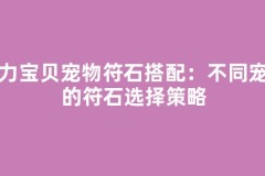 魔力宝贝宠物符石搭配：不同宠物的符石选择策略