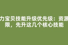 魔力宝贝技能升级优先级：资源有限，先升这几个核心技能