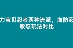魔力宝贝忍者两种流派，血防忍与敏忍玩法对比