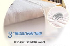 马克杯的日常保养秘籍