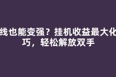 离线也能变强？挂机收益最大化技巧，轻松解放双手