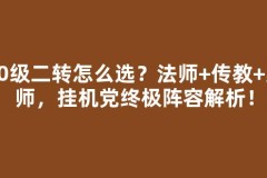 30级二转怎么选？法师+传教+巫师，挂机党终极阵容解析！