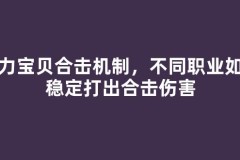 魔力宝贝合击机制，不同职业如何稳定打出合击伤害