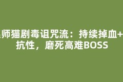 巫师猫剧毒诅咒流：持续掉血+降抗性，磨死高难BOSS