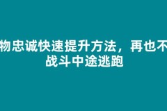 宠物忠诚快速提升方法，再也不会战斗中途逃跑