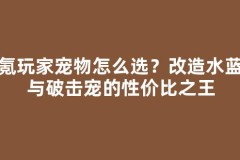 零氪玩家宠物怎么选？改造水蓝菇与破击宠的性价比之王