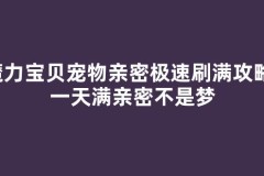 魔力宝贝宠物亲密极速刷满攻略，一天满亲密不是梦