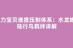 魔力宝贝速度压制体系：水龙蜥+陆行鸟羁绊详解
