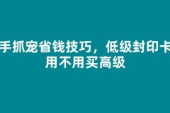 新手抓宠省钱技巧，低级封印卡够用不用买高级