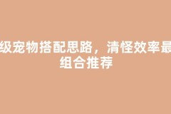 练级宠物搭配思路，清怪效率最高组合推荐