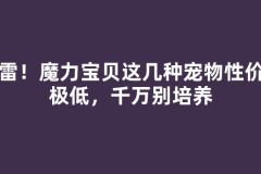 避雷！魔力宝贝这几种宠物性价比极低，千万别培养